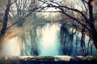 Foto: Agrokomplex NÁRODNÉ VÝSTAVISKO, štátny podnik