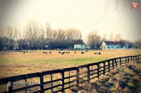 Foto: Agrokomplex NÁRODNÉ VÝSTAVISKO, štátny podnik