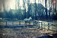 Foto: Agrokomplex NÁRODNÉ VÝSTAVISKO, štátny podnik