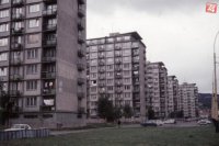 1978, MAJERCSIK TAMÁS, Nemcovej ulica