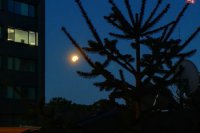 Fotografia od čitateľa Imricha Jančára.