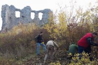 Čistenie hradu od náletových drevín.