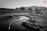 autor: Marek Vízy, názov fotografie: Kľukatá cestička víťaz  kategórie "PRÍRODA"