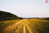 Cesta medzi KVP a Bankovom