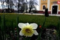 Jar v Čunove.