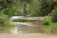 Prechádzka popri Morave v DNV. Foto: Rudolf Urmín