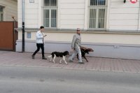 Košice - novinári pred US