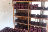 Expandujú aj do sveta.