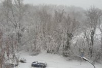 Bratislava - Petržalka