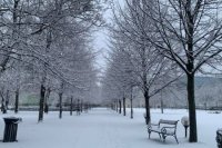 Grassalkovichova záhrada v Bratislave