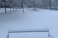 Grassalkovichova záhrada v Bratislave