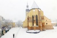 Pred Bazilikou sv. Mikuláša v Trnave.