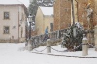 Pred trnavskou bazilikou odpratávali sneh.