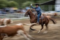 1. miesto: Jozef Fekete – Ranch roping (Prešov)