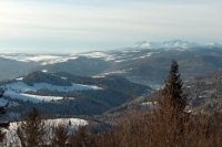 Tatry a Levočské vrchy z Bachurne