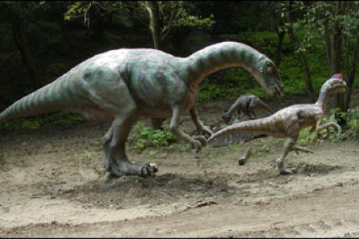 Ilustračný obrázok k článku Ponorte sa do života dinosaurov: Uvidíte pohyblivé modely dávnych predátorov