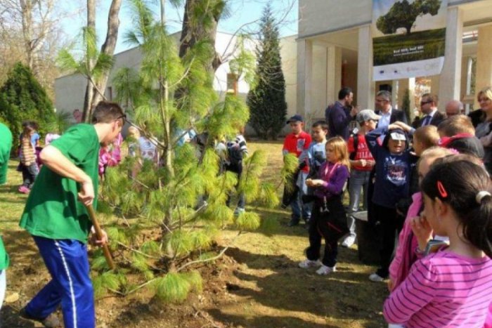 Ilustračný obrázok k článku Deti sadili desiatky rastlín: Vznikla tak trieda v prírode