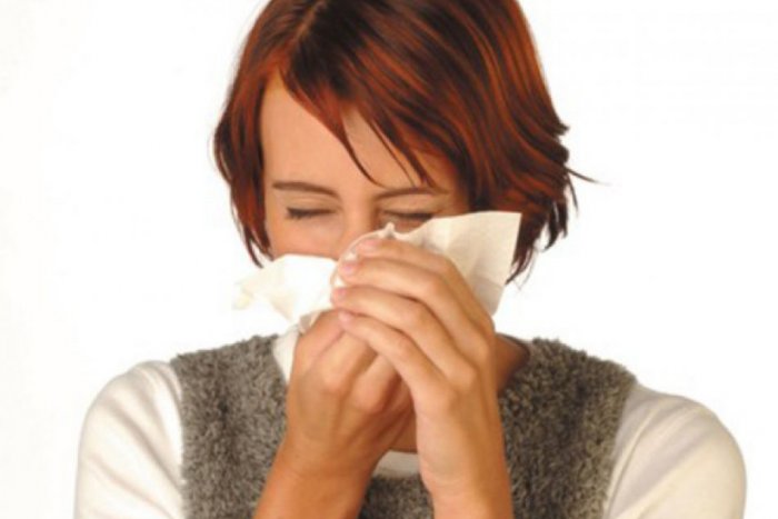 Ilustračný obrázok k článku Alergici si môžu vydýchnuť: Peľová sezóna sa končí