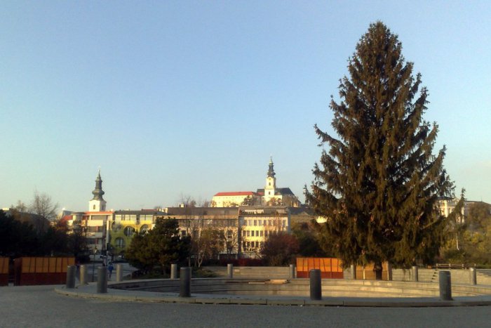 Ilustračný obrázok k článku Na Svätoplukovom námestí už stojí stromček. Stavajú sa aj stánky