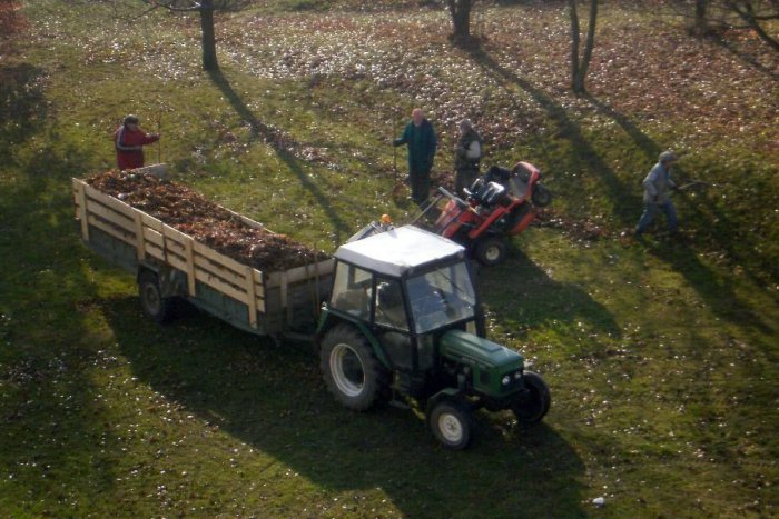 Ilustračný obrázok k článku Zima je za rohom. Z ulíc mizne napadané lístie