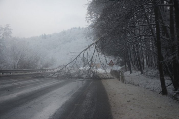 Ilustračný obrázok k článku AKTUALIZOVANÉ: Za Bartošovou Lehôtkou sa cez cestu zrútil strom