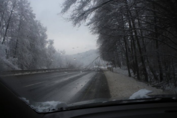 Ilustračný obrázok k článku Ťažký sneh spôsobuje veľké problémy: Láme stromy a trhá elektrické vedenie!