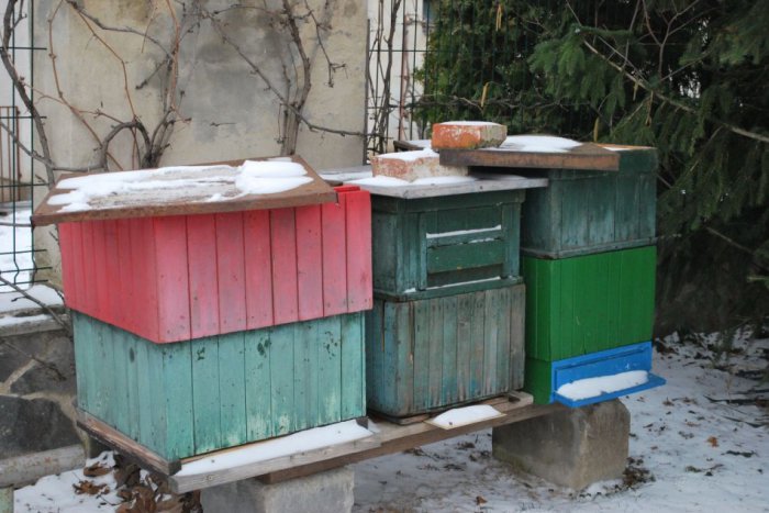 Ilustračný obrázok k článku Neutíchajúci vietor napáchal škody na včelstve: Niektoré včelie rodiny to neprežili