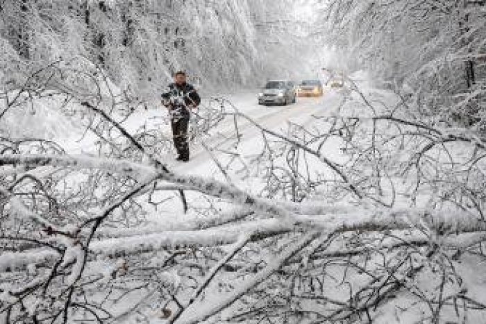 Ilustračný obrázok k článku Besnenie počasia v Tatrách: Silnému vetru za 1 deň podľahlo až 7000 stromov