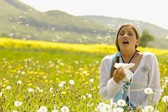 Ilustračný obrázok k článku Alergikom nie je čo závidieť: V Bystrici odborníci zaznamenali toľko peľu ako málokde!
