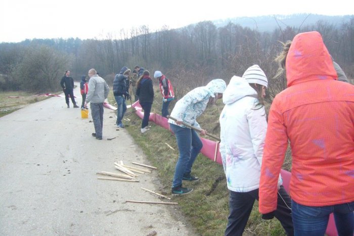 Ilustračný obrázok k článku Každý rok zahynú v Jelenci stovky žiab: Gymnazisti z Moraviec ich zachraňovali