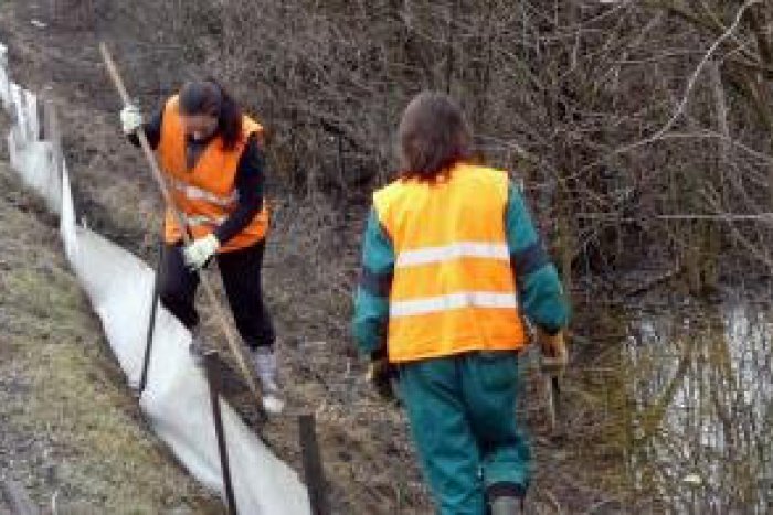 Ilustračný obrázok k článku Strážcovia prírody pomáhajú: Stavajú bariéry pre migrujúce žaby