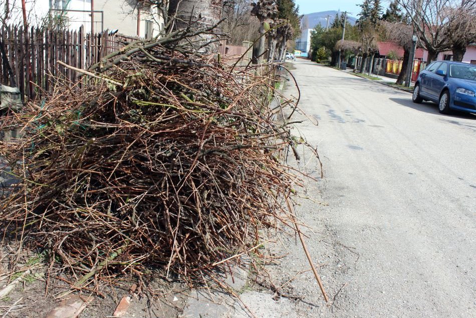 Ilustračný obrázok k článku Mesto začína s rozvozom tisícov nádob na rastlinný odpad: Zvoz konárov však nečakajte!