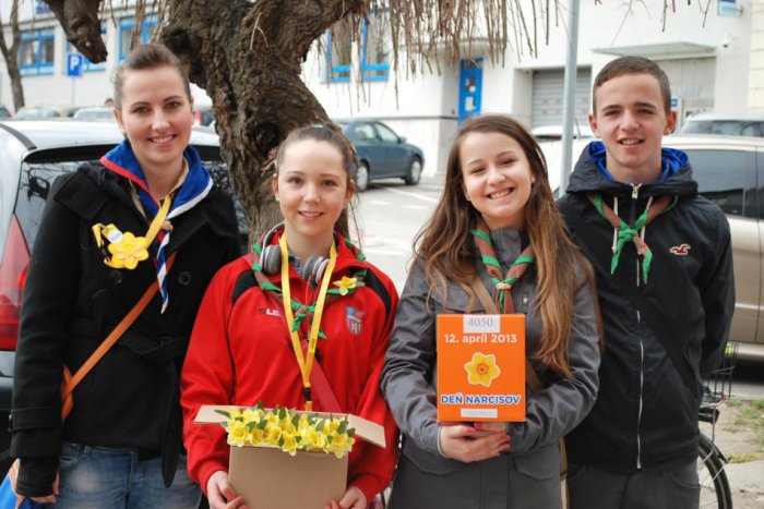 Ilustračný obrázok k článku Deň narcisov: Zlaté Moravce v žltom šate