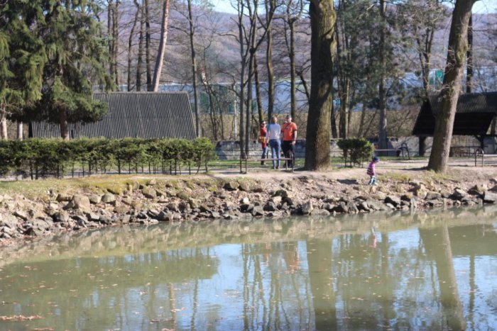 Ilustračný obrázok k článku V jazierkach v malom parku si už bez lístka nezarybárčime: Mesto ich chce prenajať za euro ročne