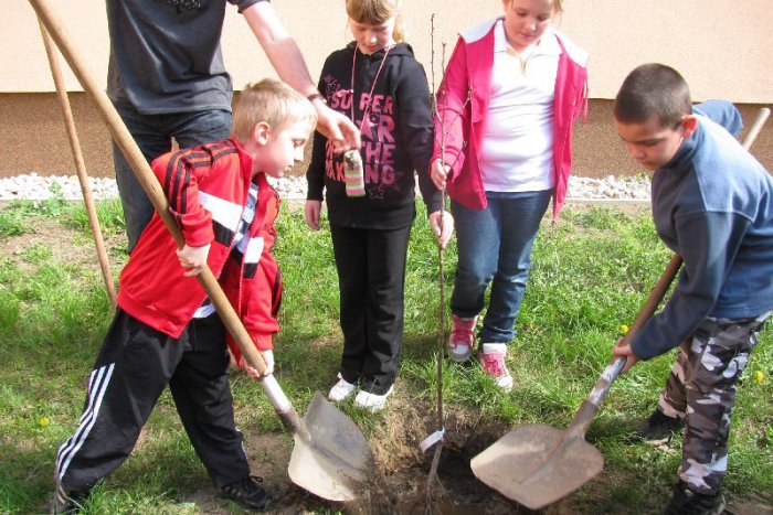 Ilustračný obrázok k článku OBRAZOM: Na Hviezdoslavke mali veľké upratovanie aj ekojarmok