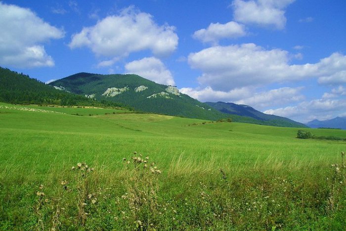 Ilustračný obrázok k článku Zelené oázy podporia 23 projektov. Medzi nimi aj Pastierikovú prírodnú záhradku vo Veľkom Šariši