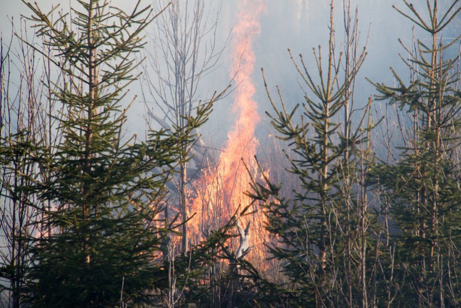 Ilustračný obrázok k článku Pri Veľkej Lesnej horí rúbanisko. Zasahuje tam dvadsaťsedem hasičov