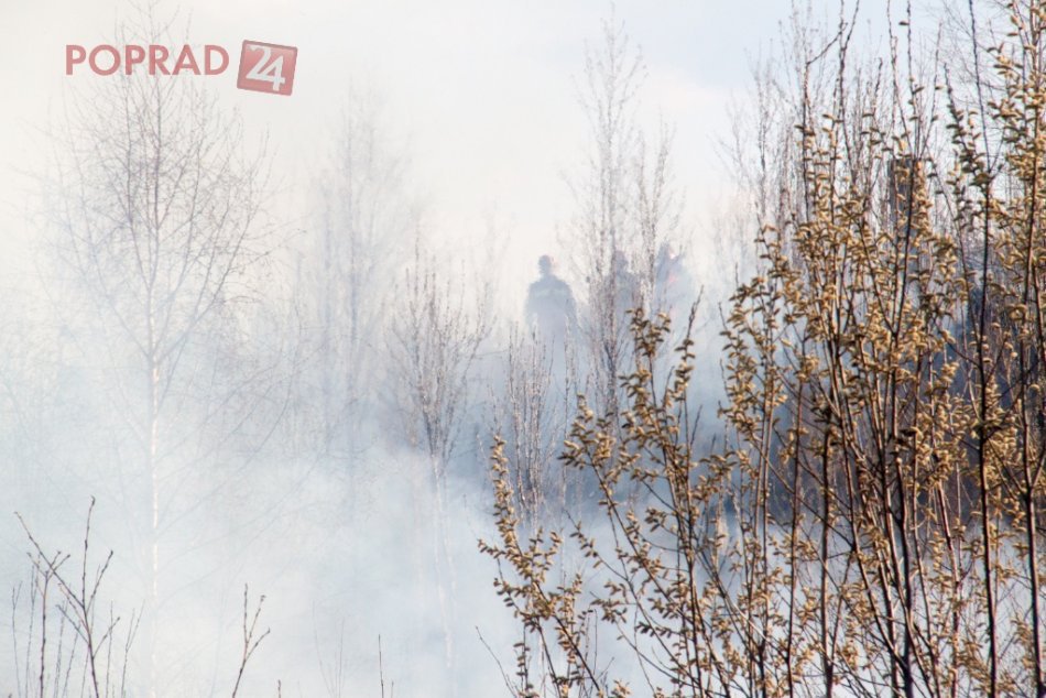 Ilustračný obrázok k článku S príchodom jari sa zvyšuje riziko požiarov: V Tatrách to platí dvojnásobne