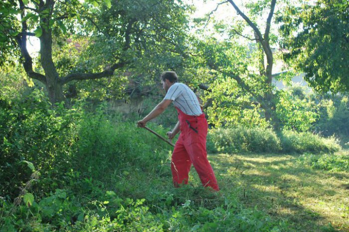 Ilustračný obrázok k článku Kosba mestskej zelene sa začala: V najbližších dňoch sa bude kosiť v plnom nasadení