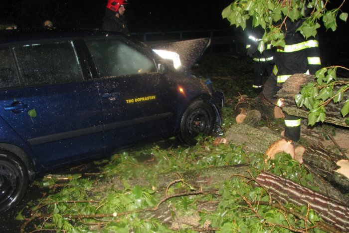 Ilustračný obrázok k článku Hrôzostrašné chvíle vodiča: Počas búrky sa mu do dráhy zrútil 15-metrový strom!