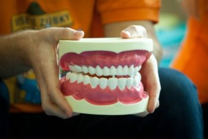 Ilustračný obrázok k článku Netradičný výjav v meste: Študenti v uliciach naučia Michalovčanov starať sa o zuby