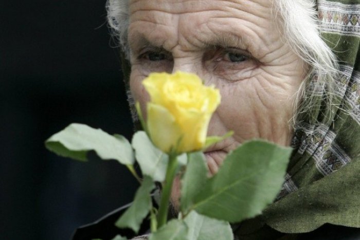 Ilustračný obrázok k článku Deň Európy poteší najmä dámy. Rozdávať sa budú žlté ruže