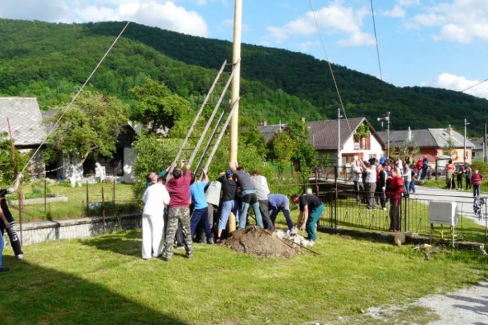 Ilustračný obrázok k článku Na Revúčke dodržiavajú tradície.  Vztýčili tu obrovský Turičný máj