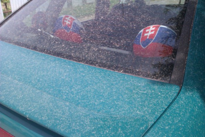 Ilustračný obrázok k článku Michalovčanov ráno prekvapili špinavé autá: Pokryl ich saharský piesok