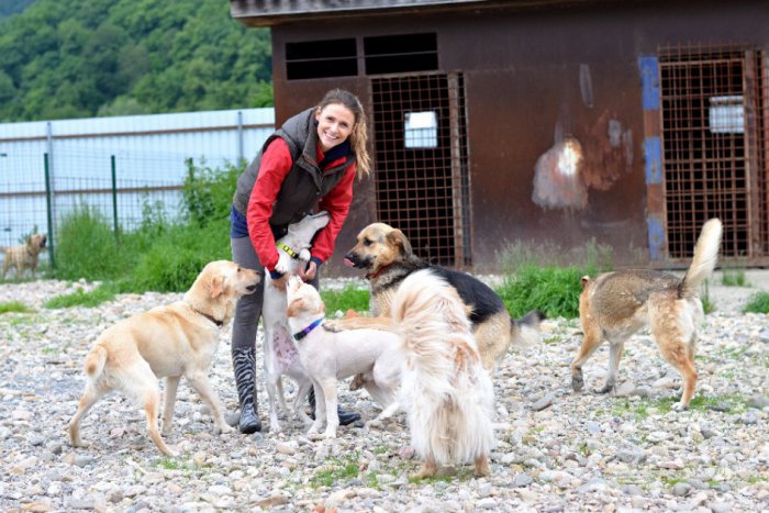 Ilustračný obrázok k článku Modelka Dominika Homolová závislá od zachraňovania: Niekedy mám doma aj 7 psov