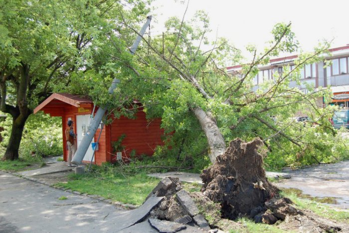Ilustračný obrázok k článku OBRAZOM: Pred rokom sa Michalovcami prehnala ničivá veterná smršť