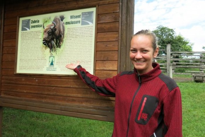 Ilustračný obrázok k článku Zubry v Topoľčiankach dokážu aj ublížiť: Najhoršie bolo, keď školáci chceli preliezť plot