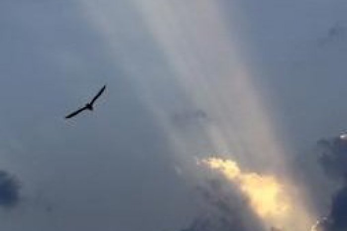 Ilustračný obrázok k článku Bystričania sa môžu dotknúť neba... Vďaka výnimočným obrazom inšpirovaných Bibliou!