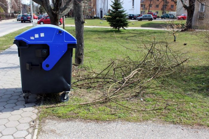 Ilustračný obrázok k článku Nastal čas starostlivosti o zeleň: Mesto vyzýva k jej údržbe