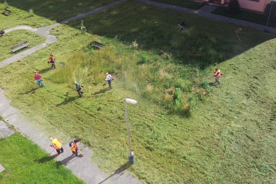 Ilustračný obrázok k článku Boj s vysokou trávou v uliciach Zvolena. Kedy sa bude kosiť na vašom sídlisku?